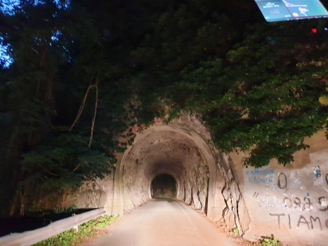 Tunnel de Sonvico II