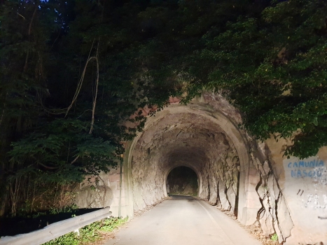Sonvico II Tunnel southern portal