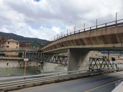 Polcevera Road Bridge and Footbridge
