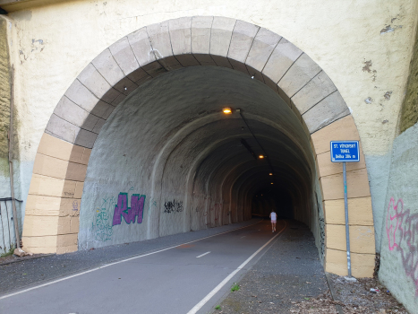Starý Vítkovský Tunnel eastern portal