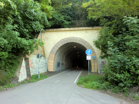Tunnel de Starý Vítkovský