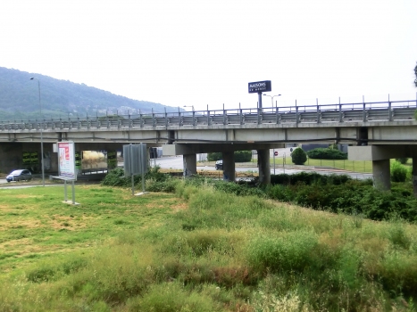 Ellera Viaduct