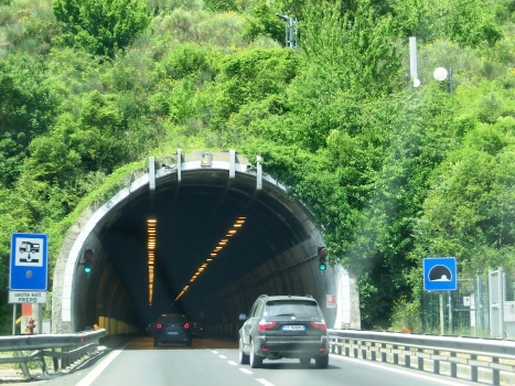 Pallotta Tunnel eastern portals