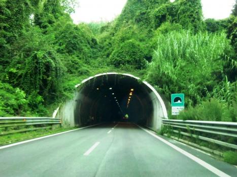 Mercatili Tunnel eastern portal