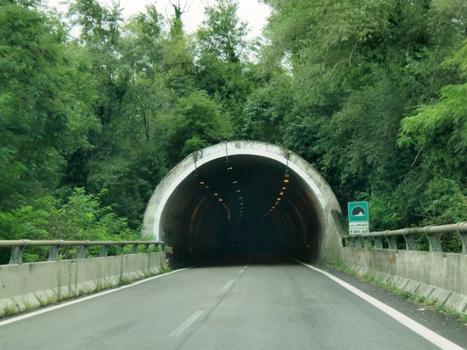 Mercatili Tunnel western portal