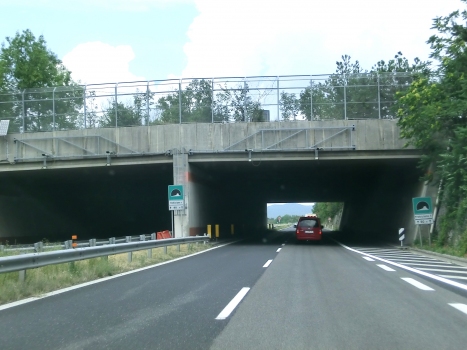 Trebiciano 1 Tunnel southern portals