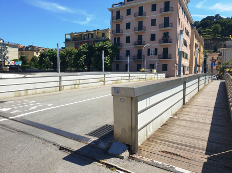 Fulvio Dall'Asta-Brücke