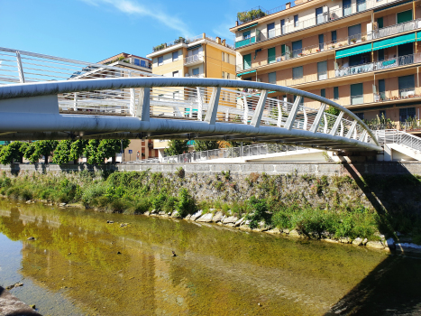 Giacomo Maggiolo Bridge