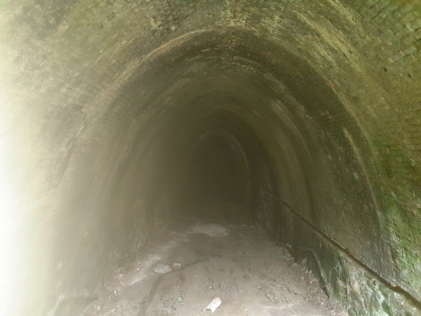 Albissola Tunnel