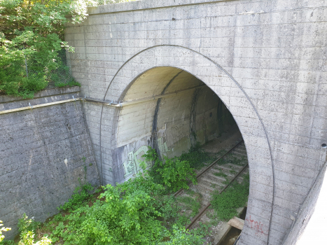 Tunnel de Aquilinia
