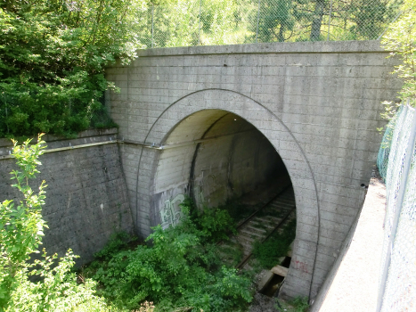 Tunnel de Aquilinia