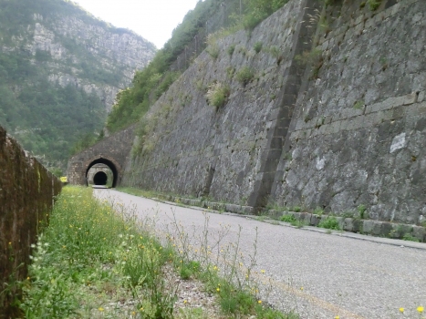 Tunnel de Ponteperaria IIa