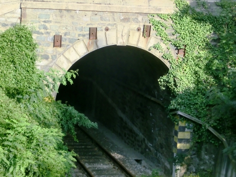 Eisenbahntunnel Avise