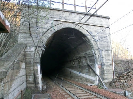 Balme Tunnel western portal