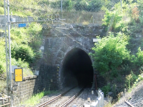 Bastardo Tunnel eastern portal