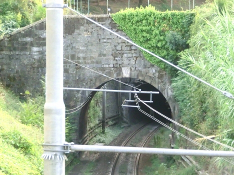 Tunnel Biassa