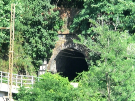 Tunnel Biscaccia