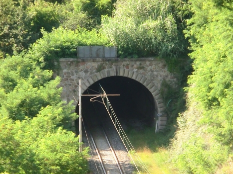Tunnel Boagno
