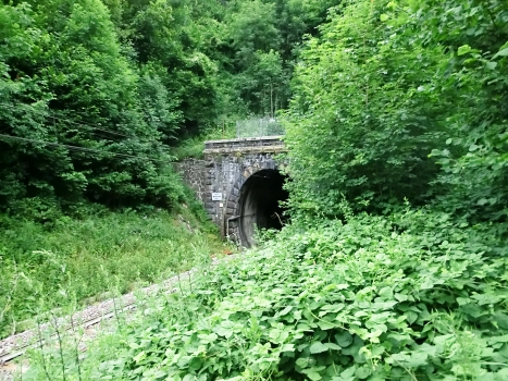 Boglia Tunnel southern portal