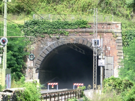 Tunnel de Borlasca