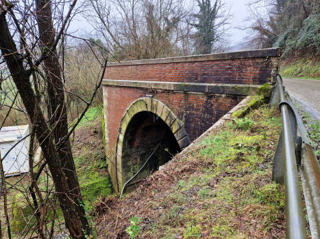 Boschetta Tunnel