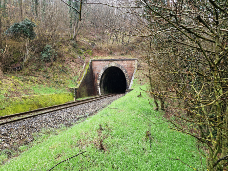 Boschetta Tunnel