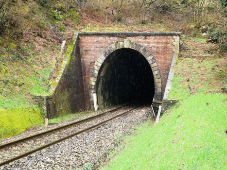 Boschetta Tunnel