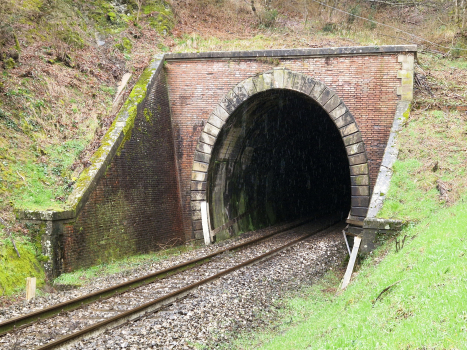 Boschetta Tunnel