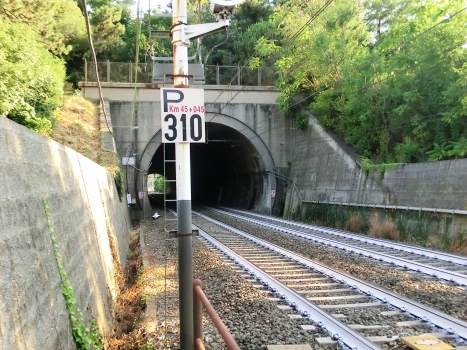 Bossarino Tunnel northern portal
