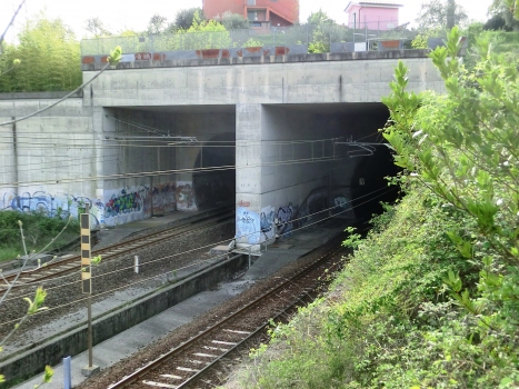 Botto Marittima Vezzano (on the right) and Botto Indipendente Tunnels eastern portals