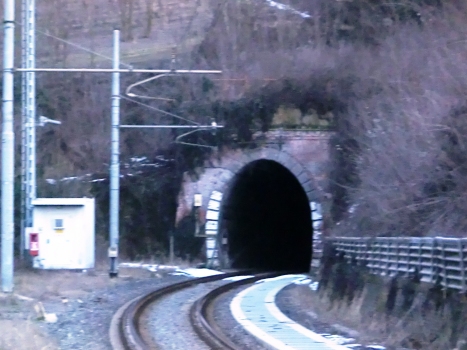 Tunnel Bricchetto