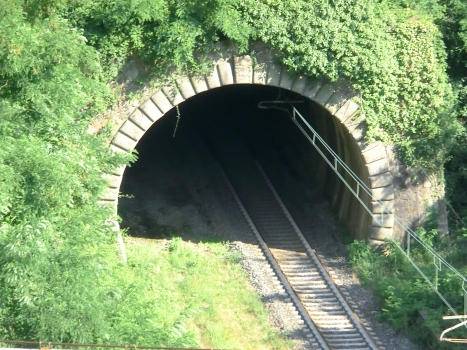 Bricco Tunnel western portal