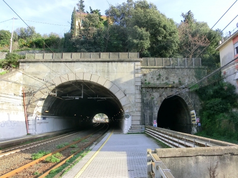 Brignello south Tunnel (on the right) and Brignello north Tunnel western portals