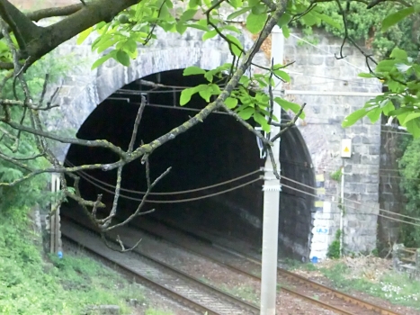 Bronzino Tunnel southern portal