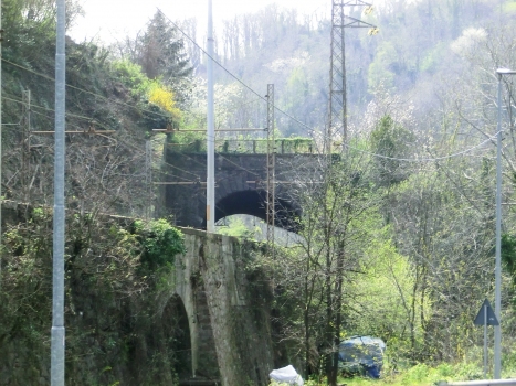 Calzolai Tunnel northern portal
