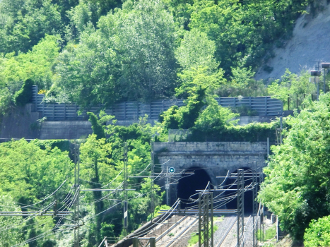 Campana Tunnel northern portals