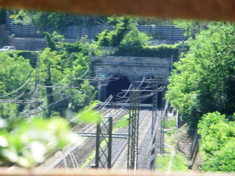 Campana Tunnel northern portals