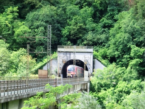 Val Aupa Viaduct and Campiolo-Monte Palis Tunnel eastern portal