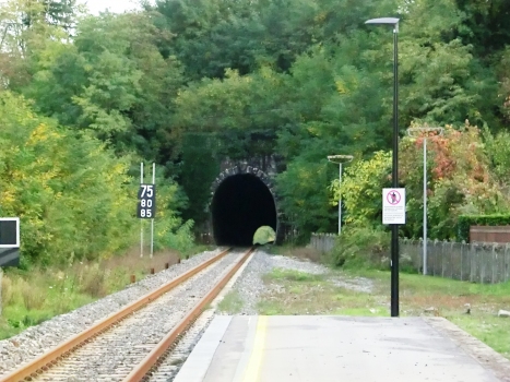 Camporgiano Tunnel northern portal