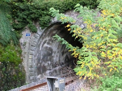 Camporgiano Tunnel southern portal
