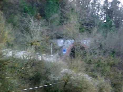 Carzola Tunnel northern portal