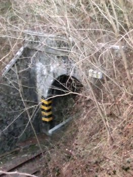 Cascine d'Enea Tunnel southern portal