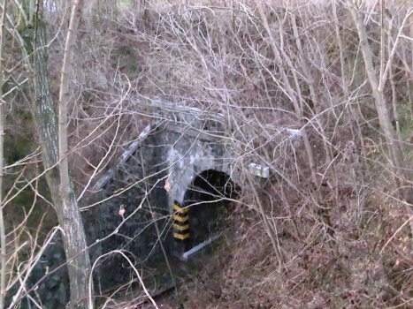 Tunnel Cascine d'Enea