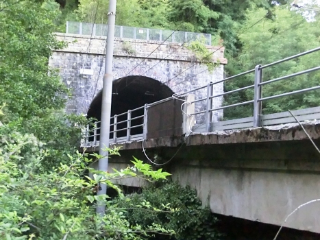 Casella Tunnel southern portal