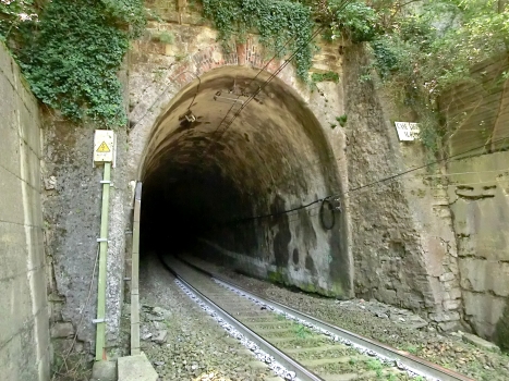 Case Vicine Tunnel northern portal