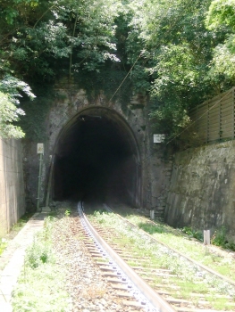 Case Vicine Tunnel northern portal
