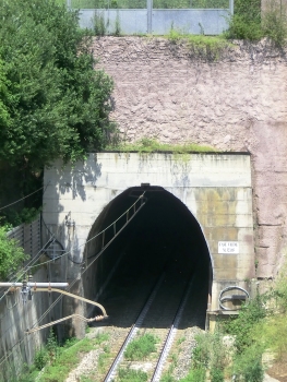 Case Vicine Tunnel southern portal