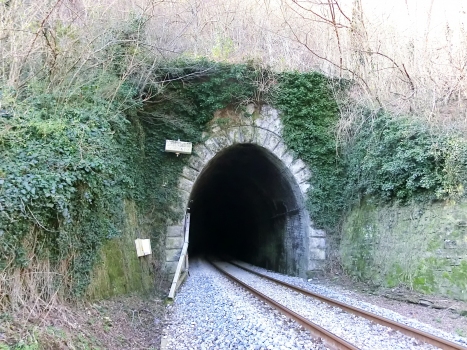 Tunnel de Castello