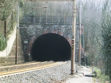 Cerbino Tunnel northern portal