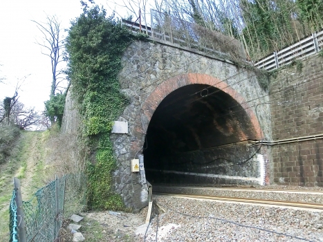 Cerbino Tunnel southern portal
